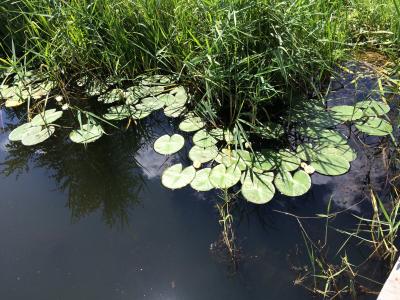 � ����� ����� ����������